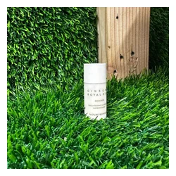 glowxin-nature-republic-ginseng-royal-silk-6ml-100000001625-3.webp