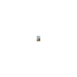 glowxin-skin1004-madagascar-centella-hyalu-cica-water-fit-sun-serum-spf-50-100000000249-13.webp