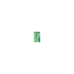 glowxin-skin1004-madagascar-centella-tone-brightening-cleansing-gel-foam-1-100000000277-14.webp